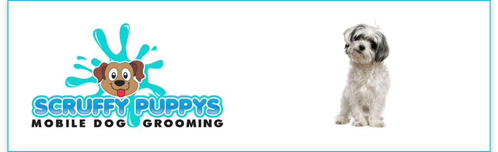 Scruffy Puppys - Mobile Dog Grooming