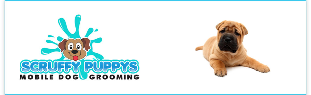 Scruffy Puppys - Mobile Dog Grooming
