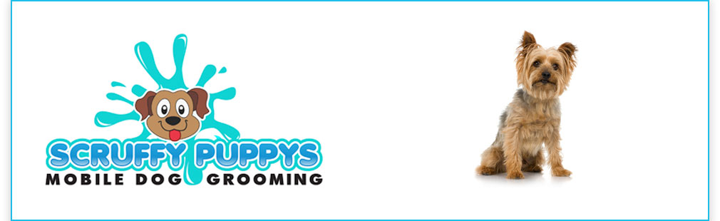 Scruffy Puppys - Mobile Dog Grooming